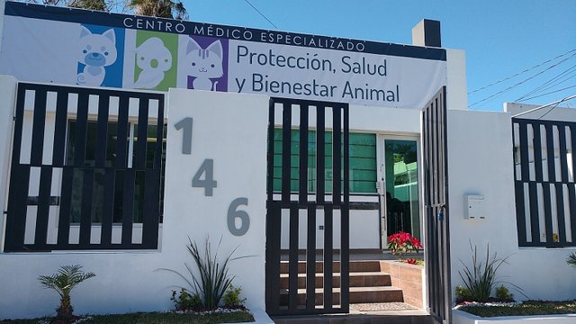 Protección, Salud y Bienestar Animal - Centro Médico Especializado:  opiniones, fotos, número de teléfono y dirección de Clínicas veterinarias (San  Nicolás de los Garza) 